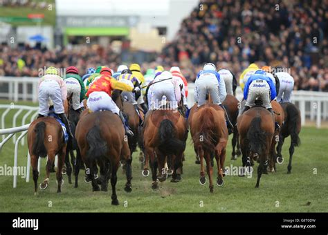 Cheltenham Festival 2016 .